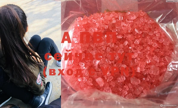 apvp Вязники