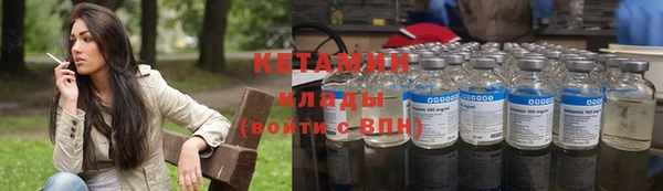 прущие грибы Вяземский