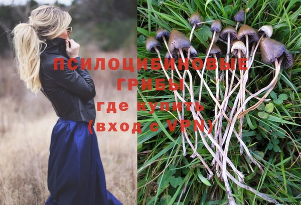 наркотики Вязьма