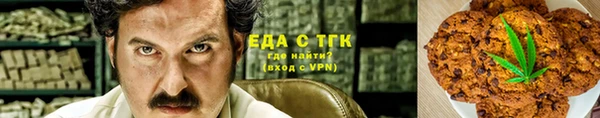 прущие грибы Вяземский