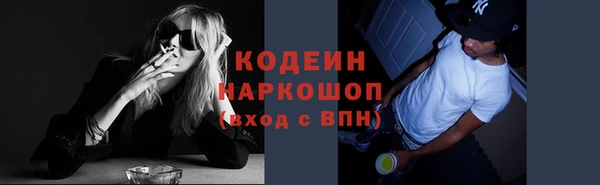 прущие грибы Вяземский