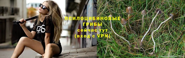 apvp Вязники