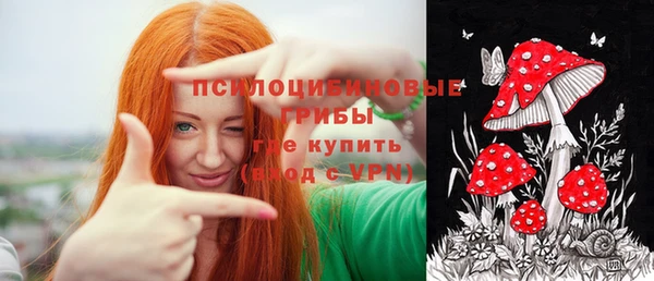 прущие грибы Вяземский