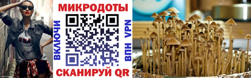 Купить закладки  Сосногорск  Псилоцибиновые грибы Cubensis 